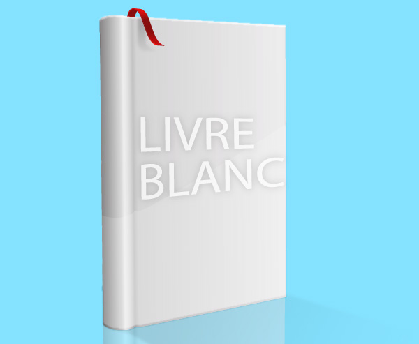 Image Livre blanc