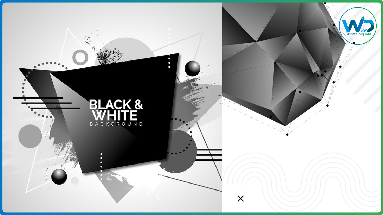 Le design en noir et blanc | wdata-mg.info