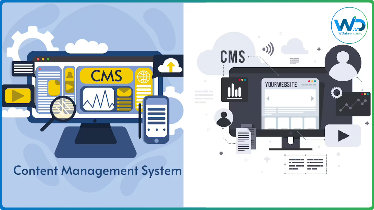CMS | wdata-mg.info