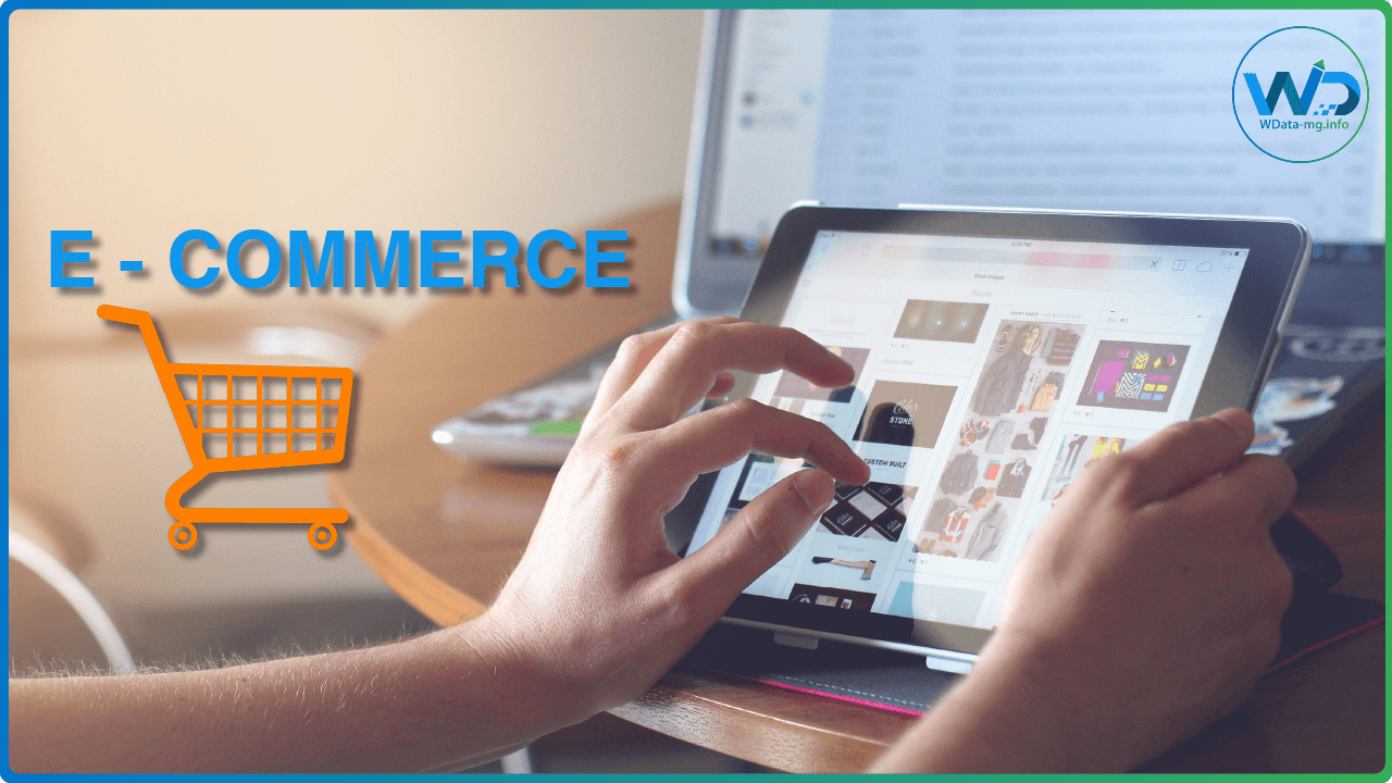 E - Commerce | wdata-mg.info