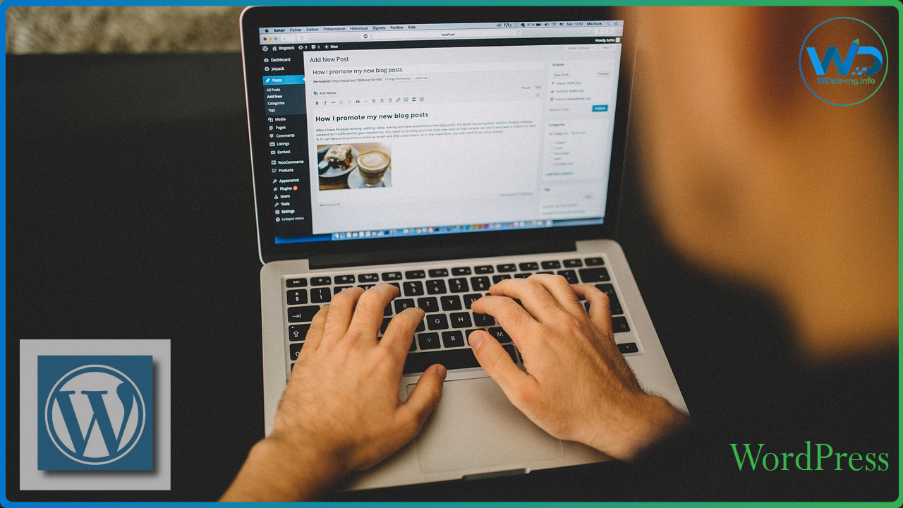 WordPress | wdata-mg.info